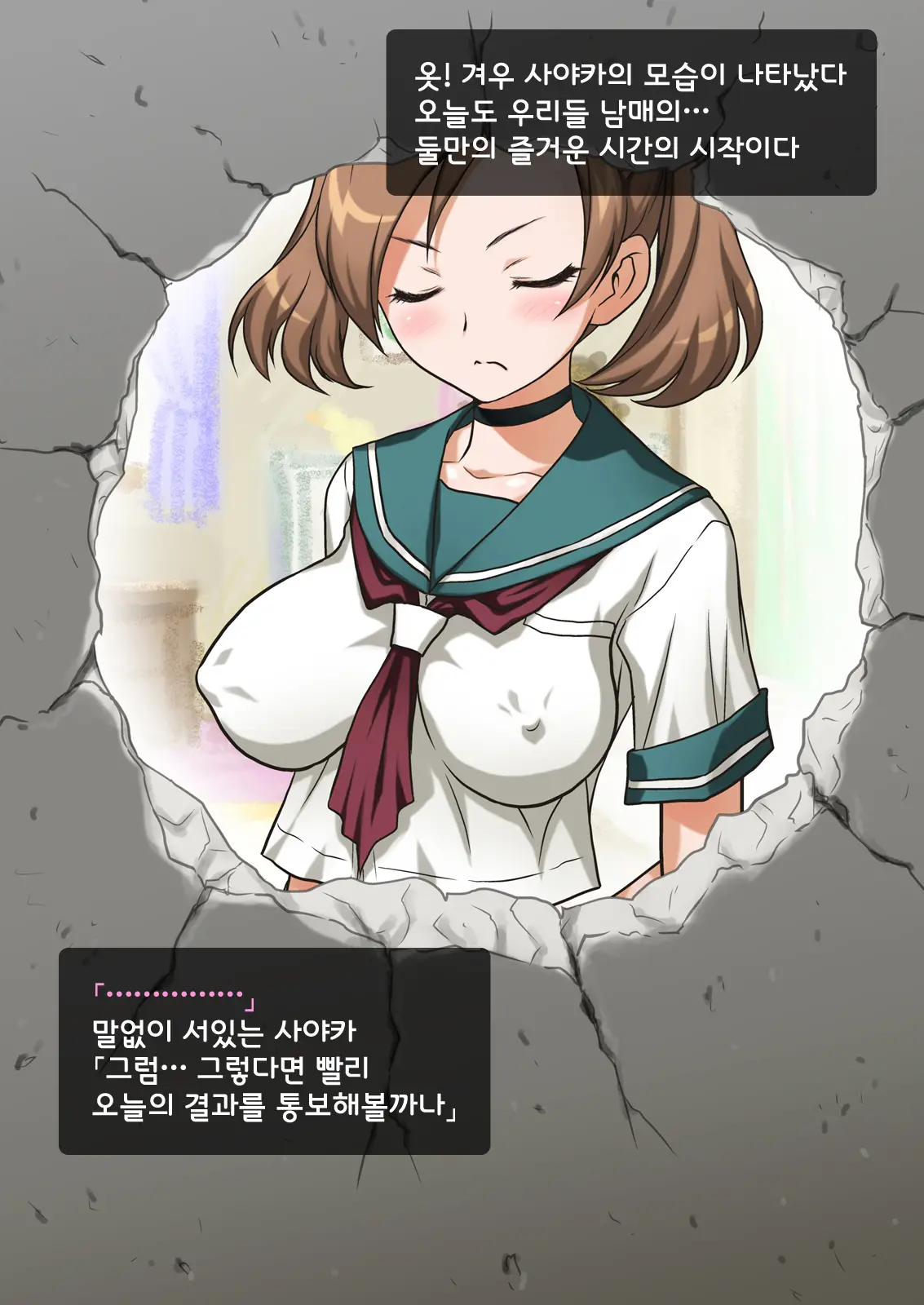 Imouto Wa Nama Onaho ~Sayaka Wa Onii-Chan Senyou Sei Gangu~